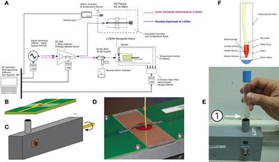 Microwaves can kill <mark class="highlighted">malaria parasites</mark> non-thermally